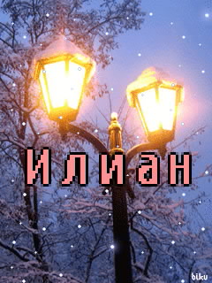 ��������: �����